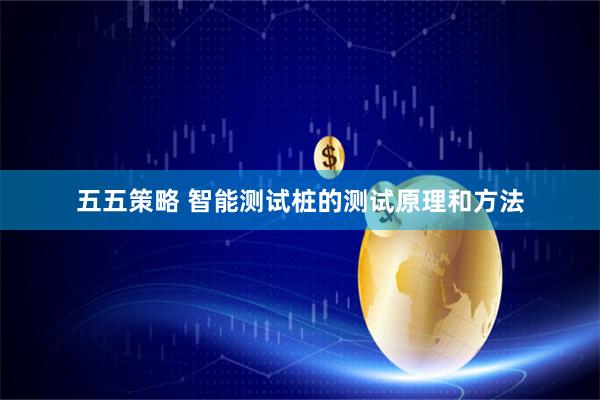 五五策略 智能测试桩的测试原理和方法