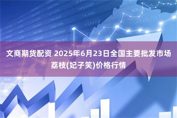 文商期货配资 2025年6月23日全国主要批发市场荔枝(妃子笑)价格行情