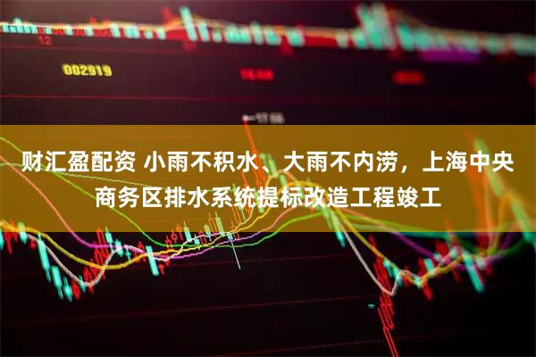 财汇盈配资 小雨不积水、大雨不内涝，上海中央商务区排水系统提标改造工程竣工